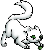 Weißflug.Junges.Smiley.png (11 KB) Junges