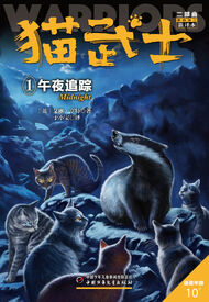 Chinesisches Cover (Reprint)