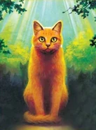 Feuerpfote auf dem Cover von Into the Wild[139]