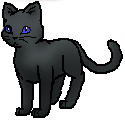Sternchen.png
