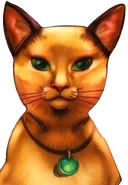 Sasha auf dem englischen Cover von Tigerstern und Sasha