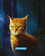 Mottenflügel auf dem Cover von A Warrior's Spirit[49] und in The Ultimate Guide (2023)