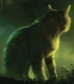 Aschenpelz in Brombeersterns Körper auf dem Cover von Darkness Within[67]