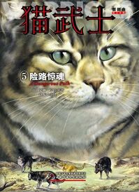Chinesisches Cover (Reprint)