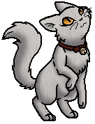 Ruby KCJ.png (20 KB) Hauskätzchenjunges