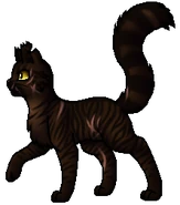 Anführer (als Betrüger)