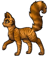 Mothwing.Leader.byCurly.png (54 KB) Anführerin