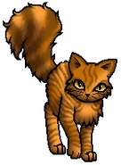 Mothwing.Rogue.byCurly.png (37 KB) Streunerin