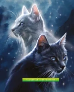 Wolkenstern und Wolkenjäger in The Ultimate Guide (2023)