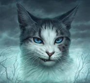 Efeusee auf dem polnischen Cover von Fernes Echo[84]