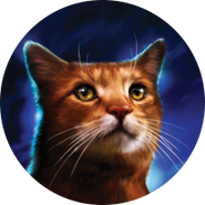 Donnerstern auf dem Cover von Legends of the Clans[67]