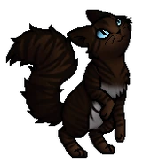 Hawkfrost.Kit.byCurly.png (29 KB) Streunerjunges