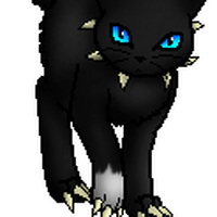 Geißel | Warrior Cats Wiki | Fandom