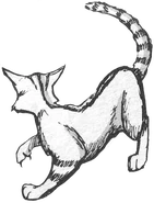 Langschweif in Bluestar's Prophecy