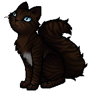 Hawkfrost.Apprentice.byCurly.png (30 KB) Schüler