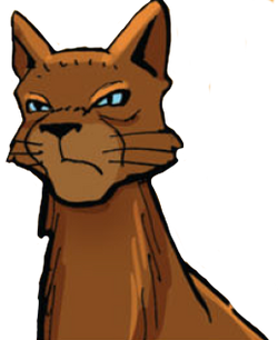 Warrior Cats - Der Dieb des DonnerClans