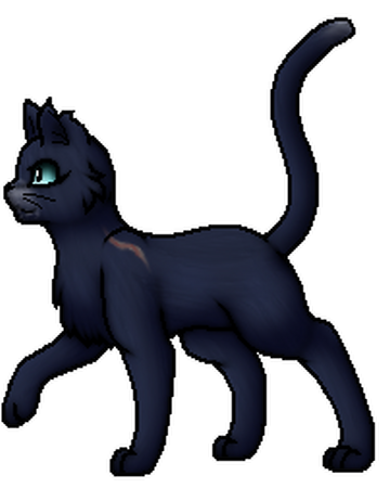 Blaustern | Warrior Cats Wiki | Fandom