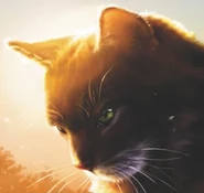 Distelblatt auf dem Reprint-Cover von Sunrise[59]