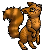 Mothwing.Roguekit.byCurly.png (39 KB) Streunerjunges