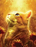 Wurzelquell in The Ultimate Guide (2023)