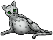 Brindleface.Q.byTopas.png (29 KB) Königin