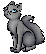 Dawnpaw.A.byMohn.png (23 KB) Schülerin