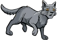 Schlammpfote in Der Dieb des DonnerClans