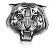 TigerClan