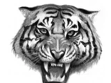 TigerClan