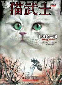 Chinesisches Cover (Reprint)