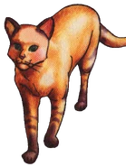 Sasha auf dem englischen Cover von Tigerstern und Sasha