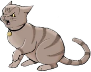 Millie auf dem Cover von Die Zuflucht des Kriegers