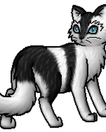 Mikusch Warrior Cats Wiki Fandom