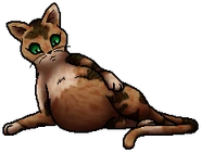 Tawnypelt.Kö.byTau.png (28 KB) Königin