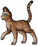 Birkenstern.A.FC.png (42 KB) Anführer