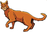 Feuerstern in Der Dieb des DonnerClans