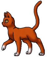 Thunderstar.Leader.byCurly.png (35 KB) Anführer