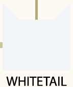 Hellschweifs Icon auf dem www.warriorcats.com-Stammbaum
