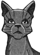 Rußpelz.Manga.SpA-5.png (90 KB) Rußpelz in Yellowfang's Secret