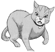 Sammy in Graustreif und Millie