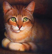 Streifenstern in Von Helden und Verrätern und The Ultimate Guide (2013)