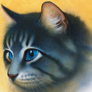 Blaustern | Wiki | Warrior Cats(Fandom) Amino