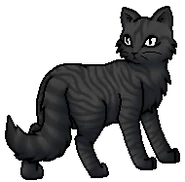 Flypaw.Loner.byCurly.png (34 KB) Einzelläuferin