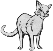 Mottenflug.Manga.SpA-8.png (315 KB) Mottenflug in Moth Flight's Vision