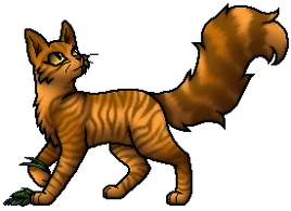 Mothwing.MedicineCat.byCurly