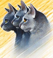 Steinfell, Nebelstern und Grauteich in Von Helden und Verrätern und The Ultimate Guide (2013)