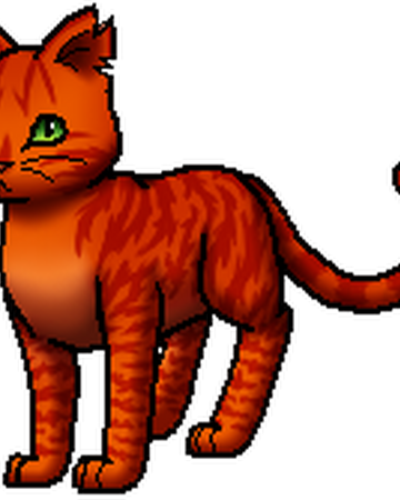 Feuerstern | Warrior Cats Wiki | Fandom
