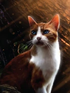 TUG23.Harestar.jpg (137 KB) Hasenstern in The Ultimate Guide (2023)