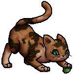 Tawnypelt.J.byTau.png (21 KB) Junges