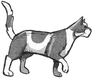 Hasensprung.Manga.SpA-15.2.png (129 KB) Hasensprung in Onestar's Confession